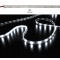 ΤΑΙΝΙΑ LED 5m 12VDC 7.2W/m 5050 30LED/m 6500Κ ΨΥΧΡΟ IP67