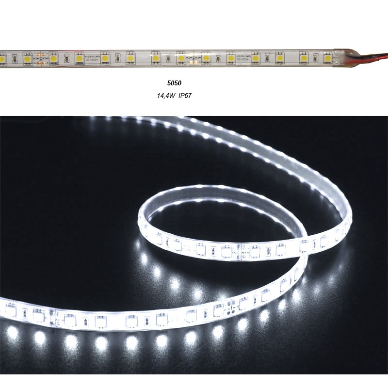 ΤΑΙΝΙΑ LED 5m 24VDC 14.4W/m 5050 60LED/m 6500Κ ΨΥΧΡΟ IP67